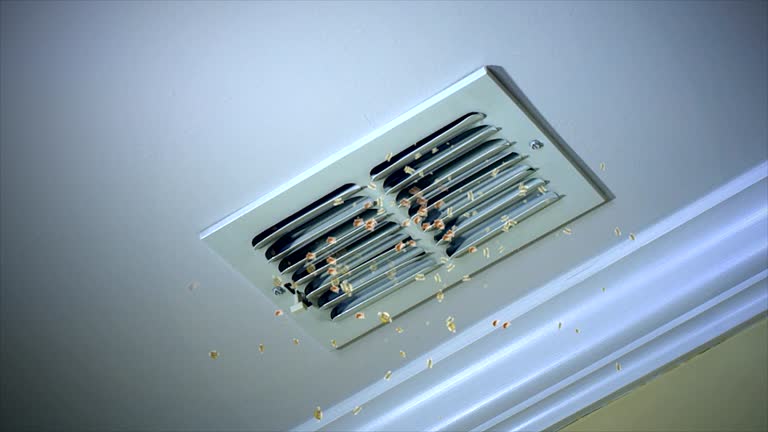 Best Air Duct Mold Removal  in Chambersburg, PA